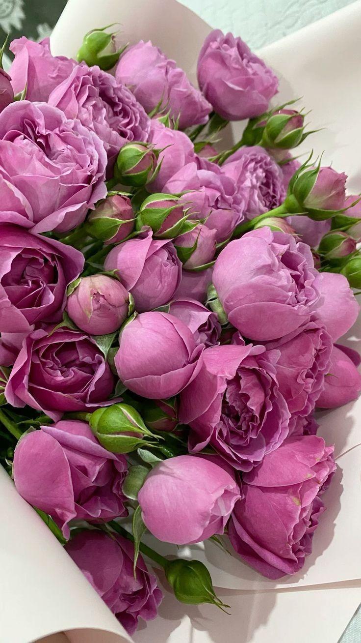 Enchanted Eve: Twilight's Floral Caress